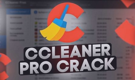 Ccleaner Pro Crackeado Download Grátis Em Português 2024 + Portable