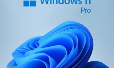 Windows11Pro