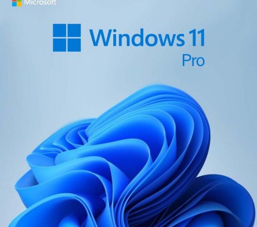 Ativador Windows 11 Pro Download 2024 Pt-Br