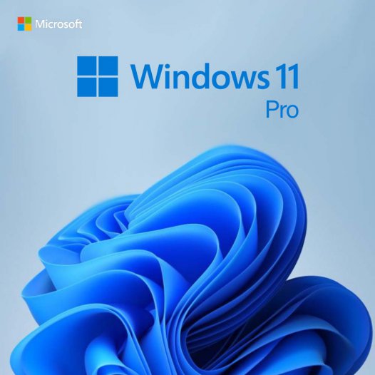 Windows11Pro